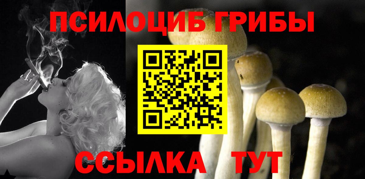 Кольчугино  Галлюциногенные грибы Magic Shrooms  Вход с VPN 